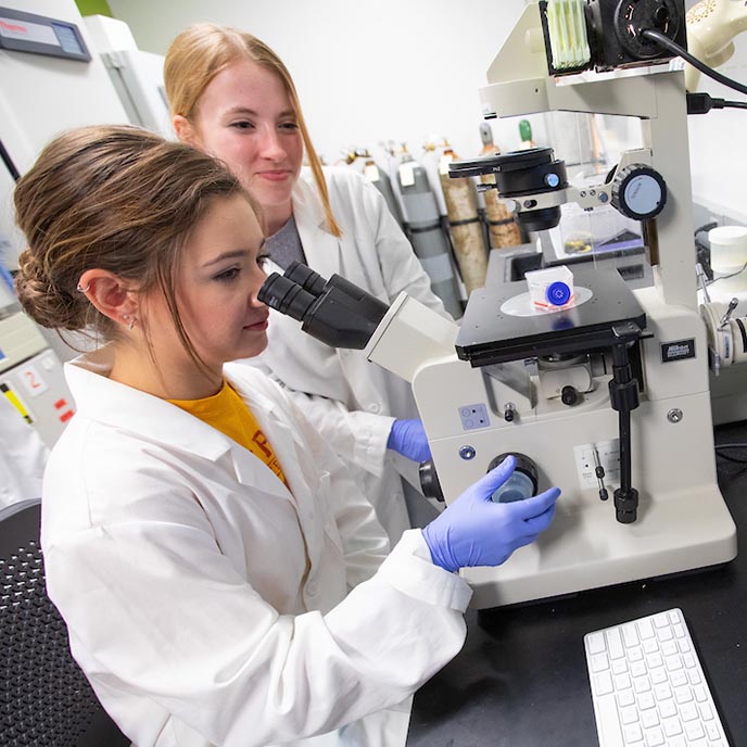 A student researcher works on equipment in the lab.