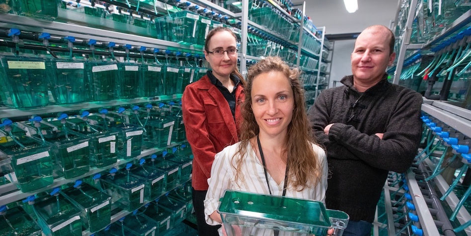 Karin Dorman and Raquel Espin Palazon and Clyde Campbell in a lab