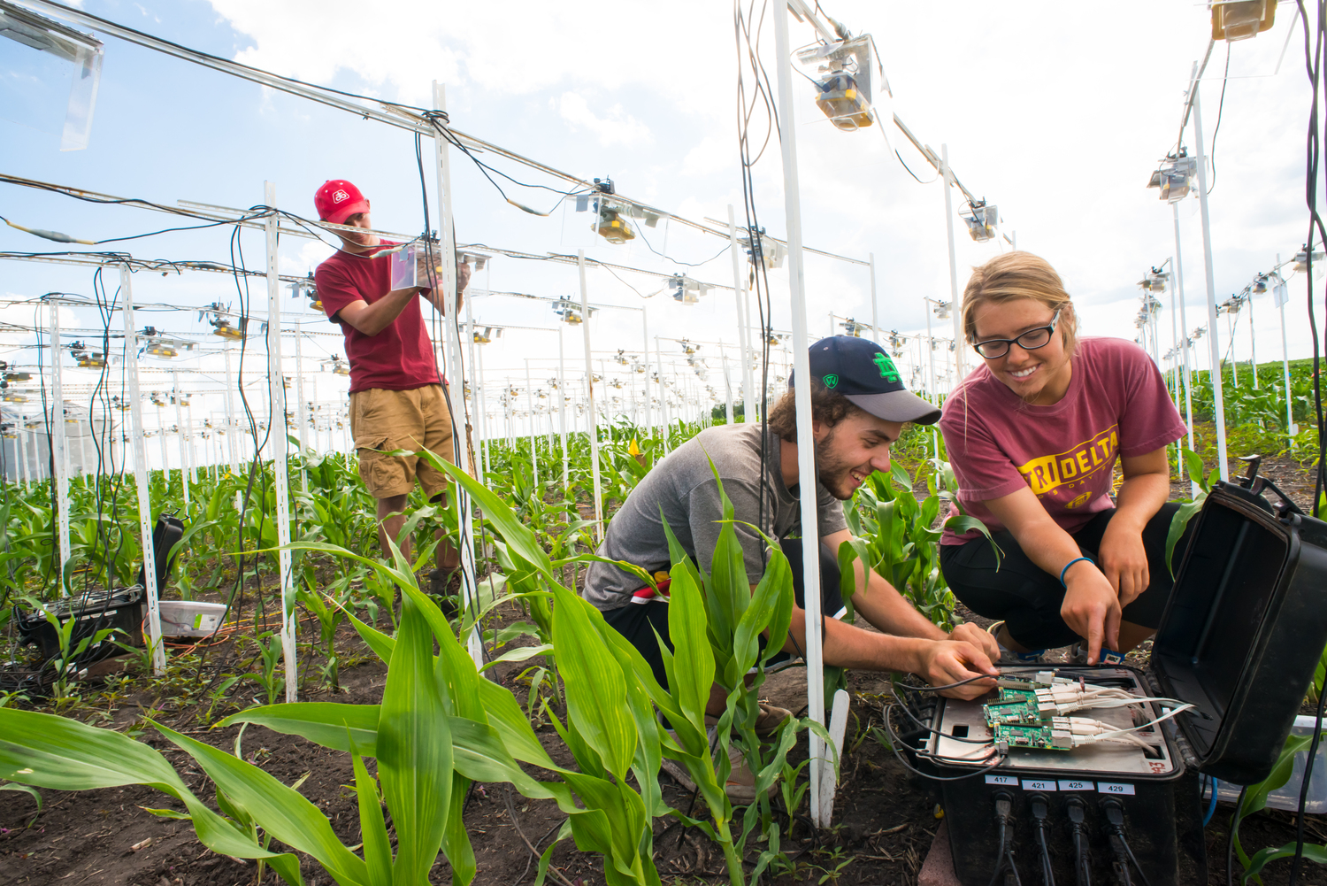 photo of 3 students installing rural broadband equipment in a corn field