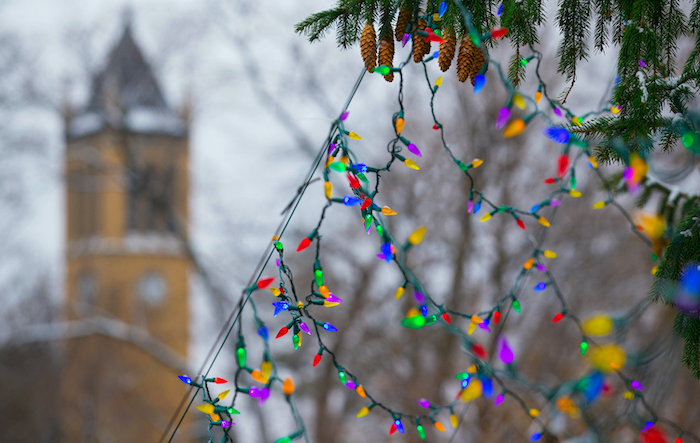 Close-up of holiday lights on the pine tree on central campus